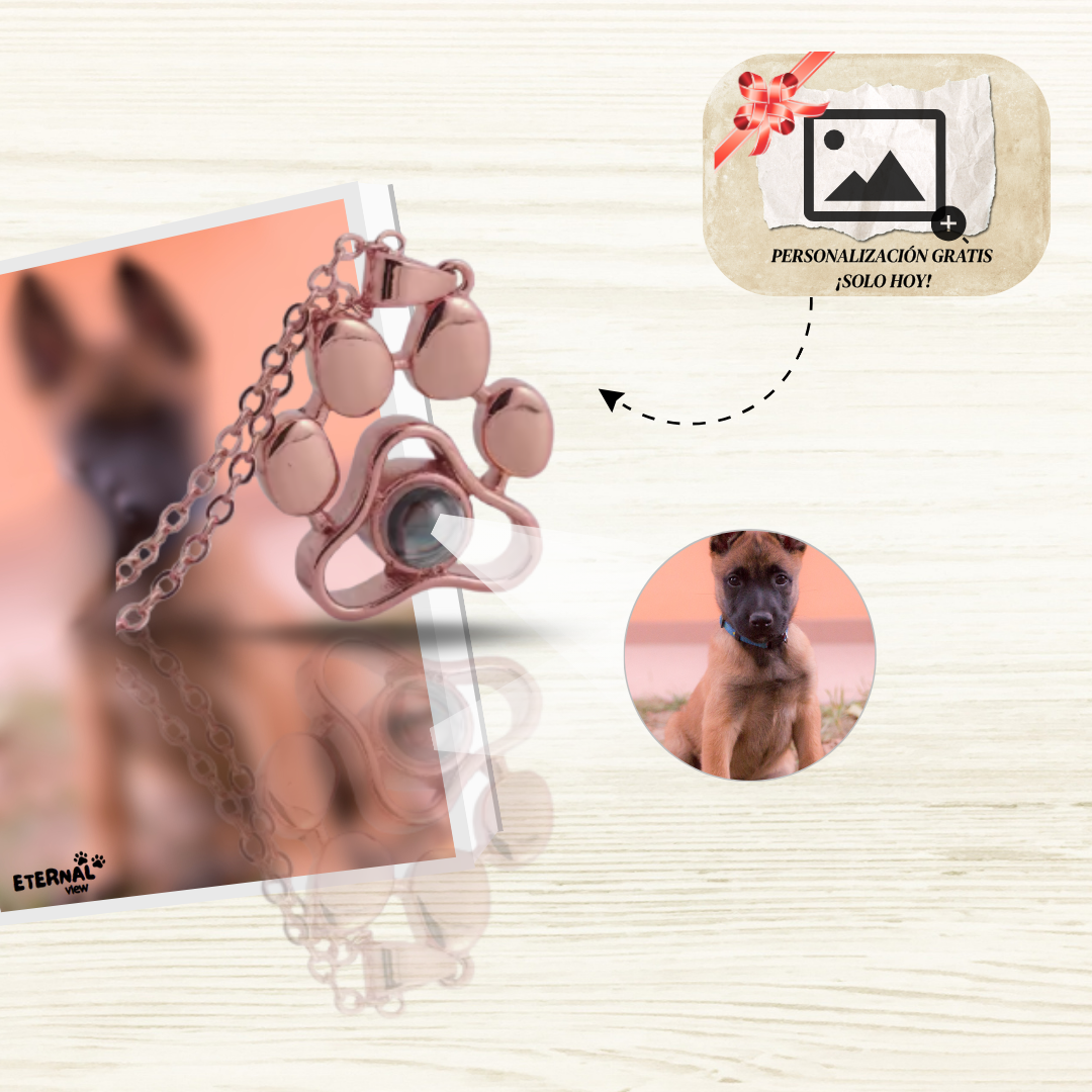 Collar Huella del Recuerdo